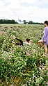 DSC00895