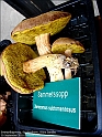 DSC00862