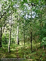 DSC00882