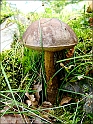 DSC00896