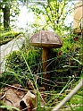 DSC00898