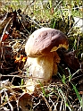 DSC00902