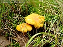DSC00916