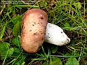 DSC00925