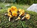 DSC00933