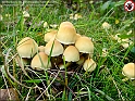 DSC00935
