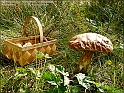 DSC00939