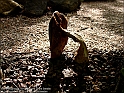 DSC00956