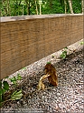 DSC00959
