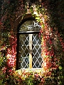 DSCN7982