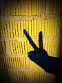 DSCN8033