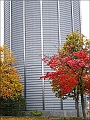 DSCN8040