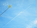 DSCN8128
