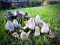 DSCN8163