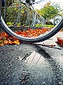 DSCN8168