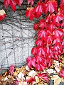 DSCN8172
