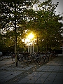 DSCN8178