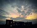 DSCN8184