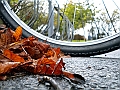 DSCN8208