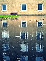 DSCN8219