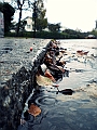 DSCN8245
