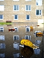 DSCN8258