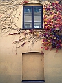 DSCN8276