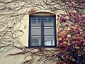 DSCN8278