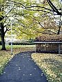 DSCN8308