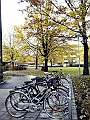 DSCN8324