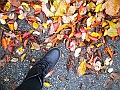 DSCN8332