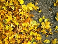 DSCN8361