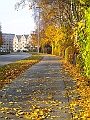 DSCN8362