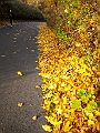 DSCN8376
