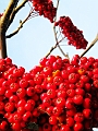 DSCN8400