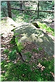 GTB_Svamapr2001oct_p039