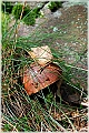 GTB_Svamapr2001oct_p043