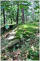 GTB_Svamapr2001oct_p046