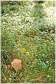 GTB_Svamapr2001oct_p054