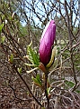 DSC03087