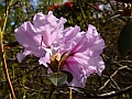 DSC03097