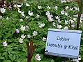 DSC03100