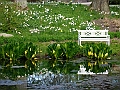 DSC03110