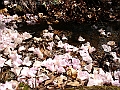 DSC03127