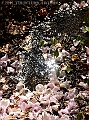 DSC03142