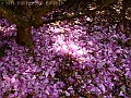 DSC03166