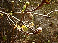 DSC03168