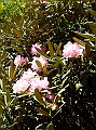DSC03171