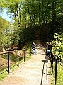DSC03203