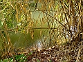 DSC03208